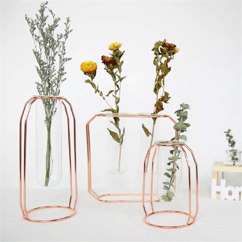 Botol Kaca Pot Tanaman Hidroponik Terrarium Shopee Indonesia Botol Kaca Pot Tanaman Hidroponik Terrarium Shopee Indonesia