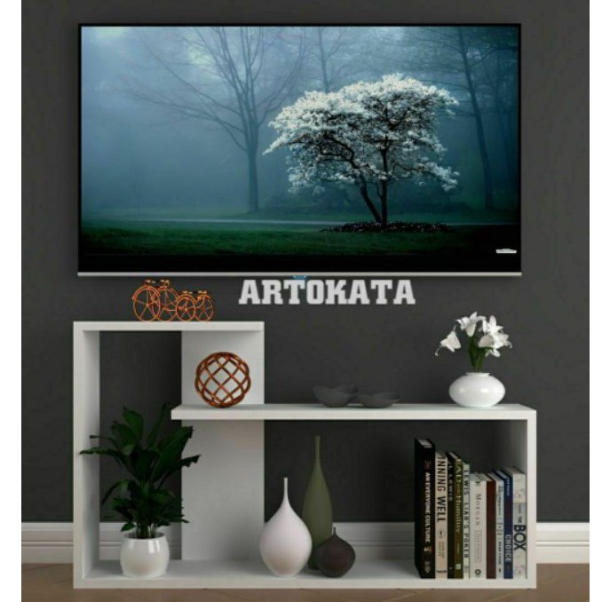 Rak bunga dari kayu Dinding Minimalis tempel Ambalan kayu unik modern ruang tamu  dapur cafe f