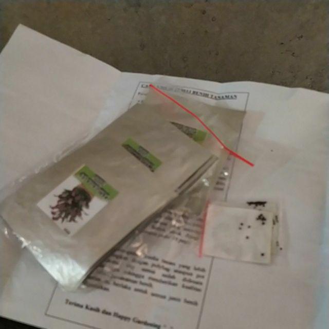 Biji Bunga Blue Europan Primrose