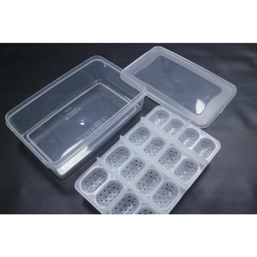 egg tray gecko 16 slot + Box