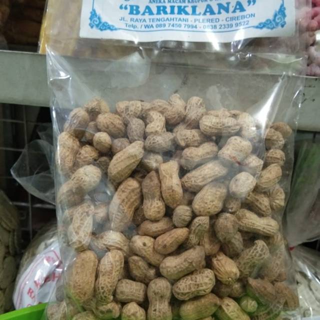 

Kacang Kulit