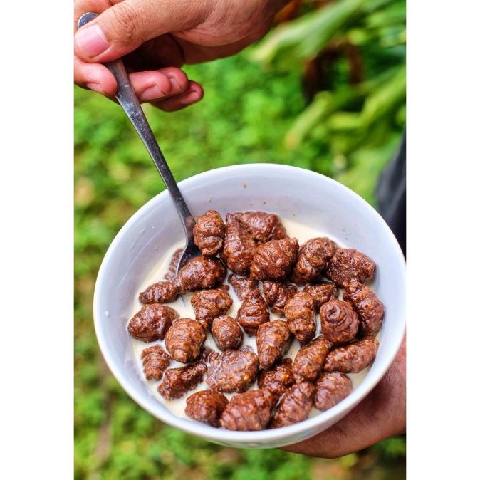 

Premium CHOCO Croissant Cereal MISOL - Snack/sereal dgn fresh milk