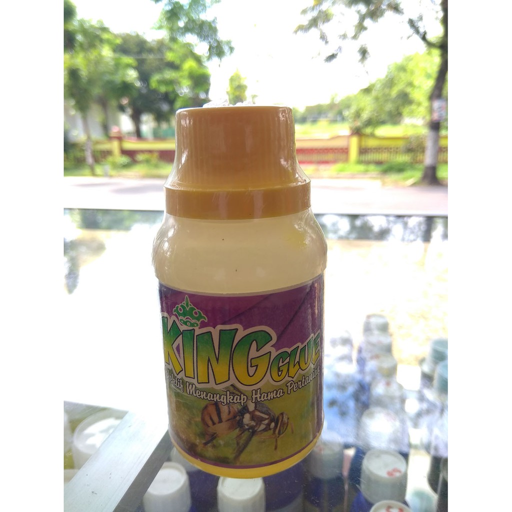 

Lem Lalat Buah King Glue 100ml