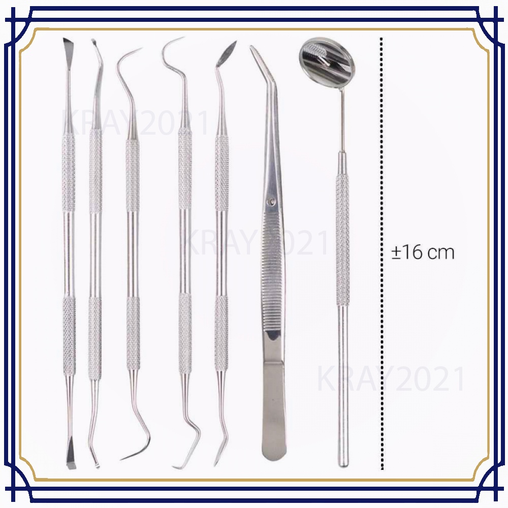 Peralatan Set Dokter Gigi Dentist Dental Tool 7 PCS HT108