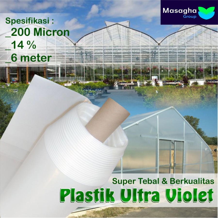 Plastik UV 200 Micron 14 % Lebar 6 Meter (6 m x 10 m) Greenhouse