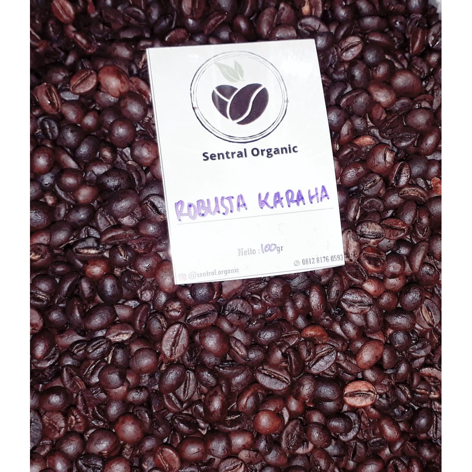 

KOPI ROBUSTA - GUNUNG KARAHA TASIKMALAYA