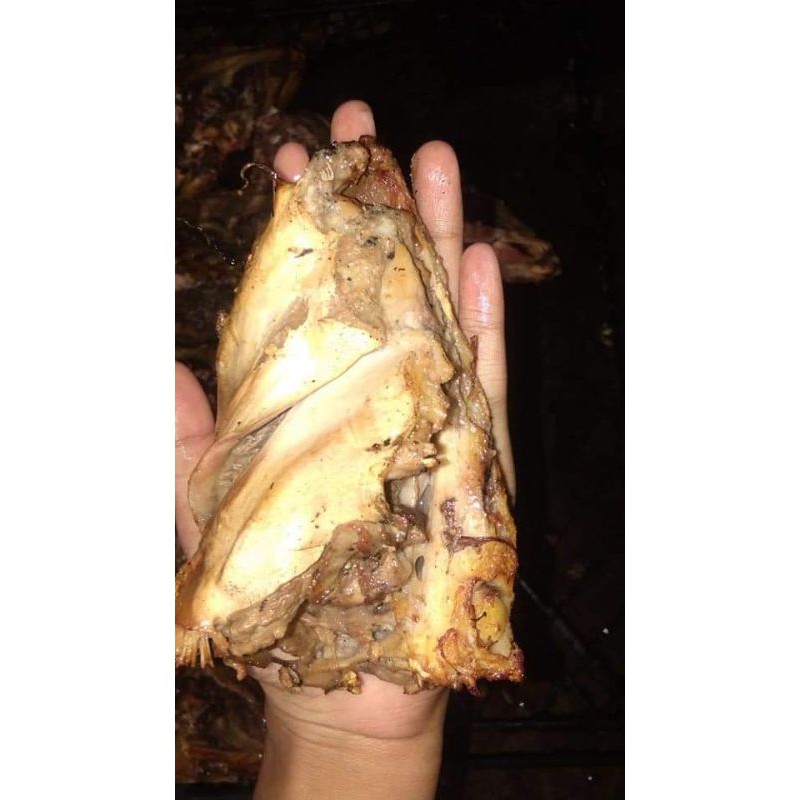 

Kepala Manyung Isi 3