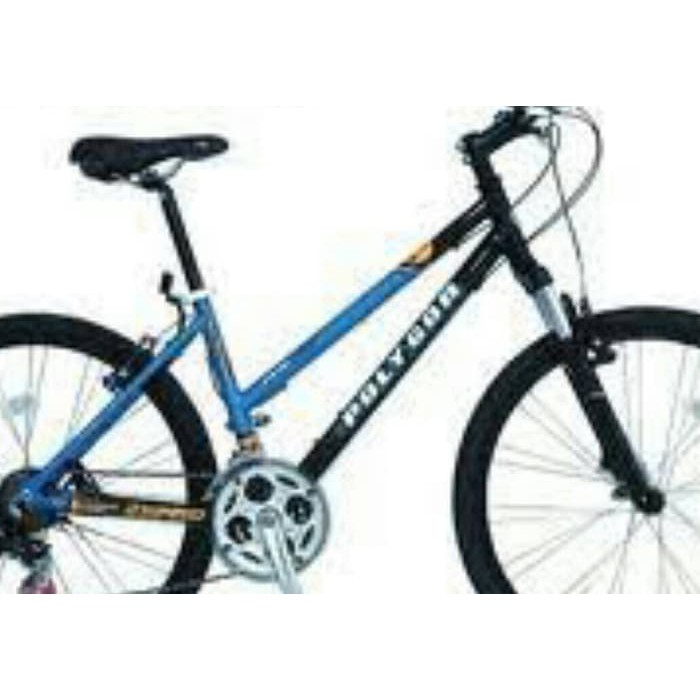 READY polygon premier 2 lady