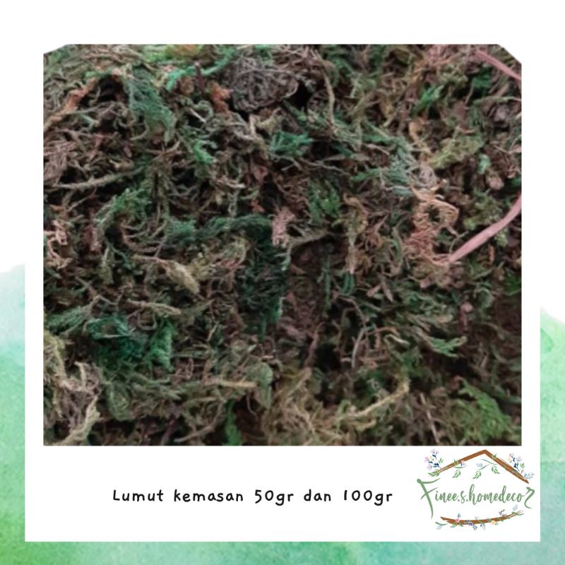 LUMUT VAS 50 gram / 100 gram - lumut artificial untuk pot bunga plastik