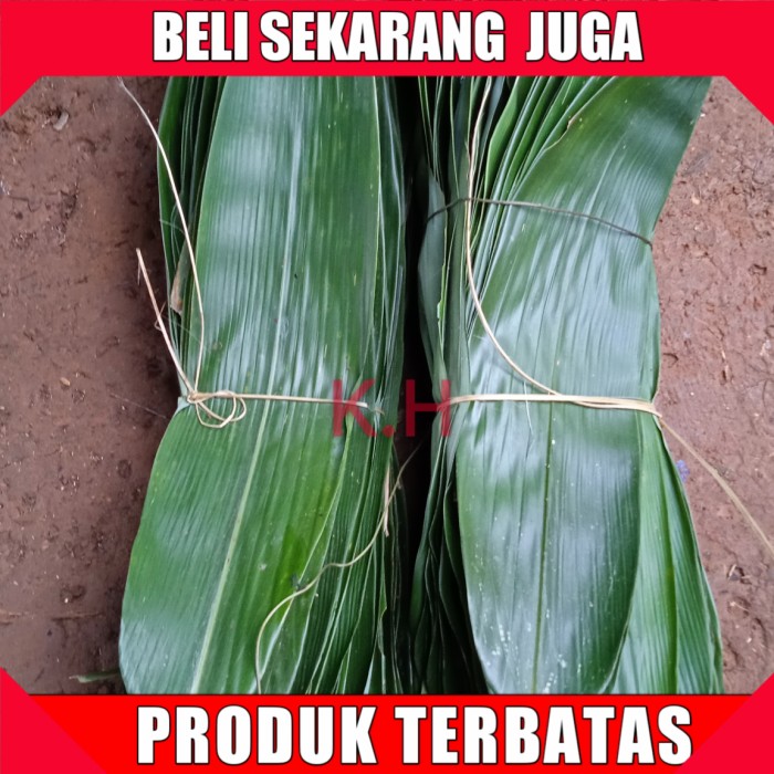 

Daun bambu lebar segar
