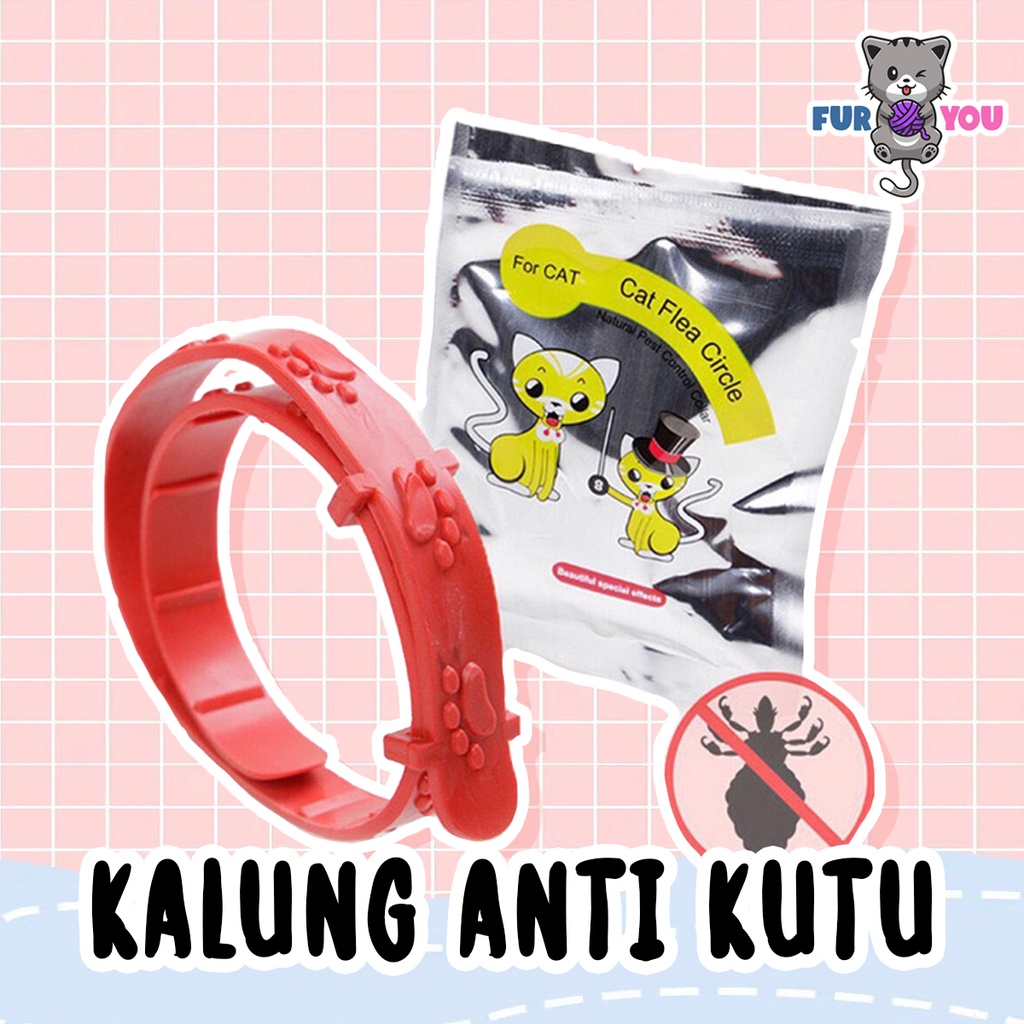 Kalung Anti Kutu Kucing Anti Parasit Kutu Bulu Anabul