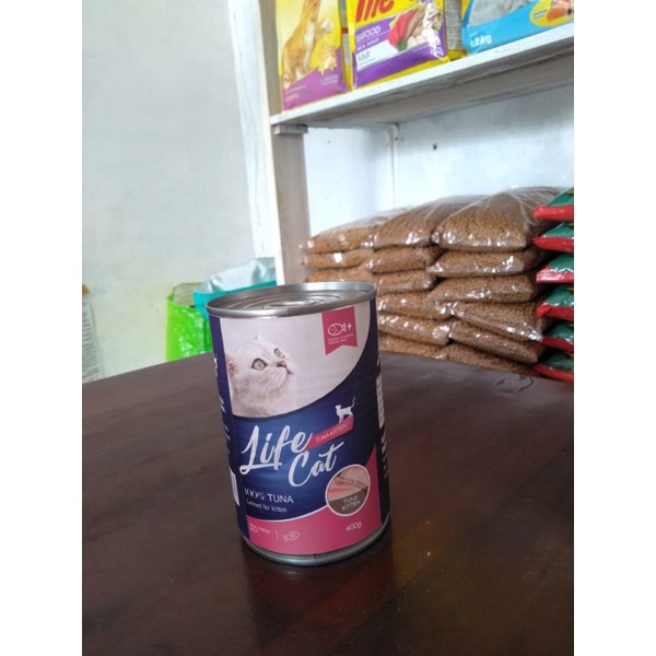 Lifecat kitten life cat kitten