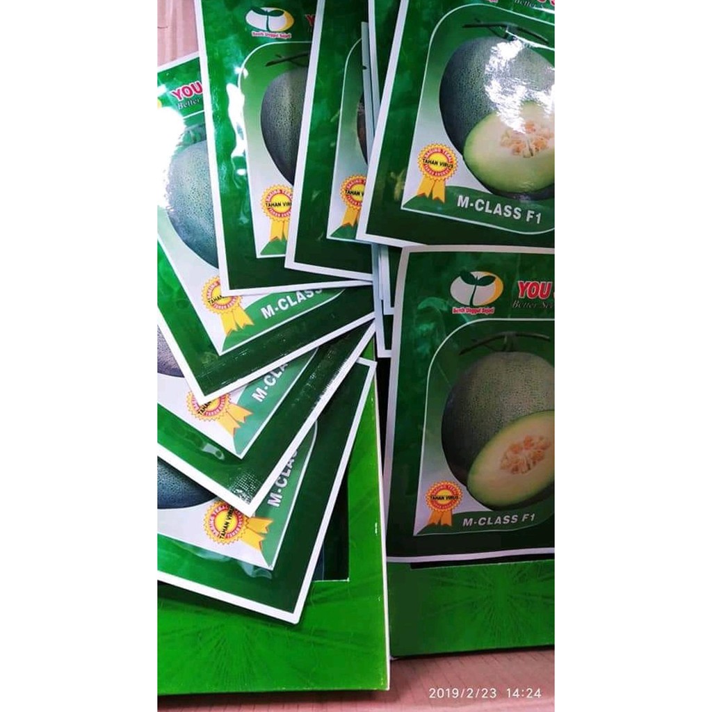 Terlaris Benih Melon M-Class Tahan Virus - Bibit Tanaman Buah Melon Isi Banyak Kd1