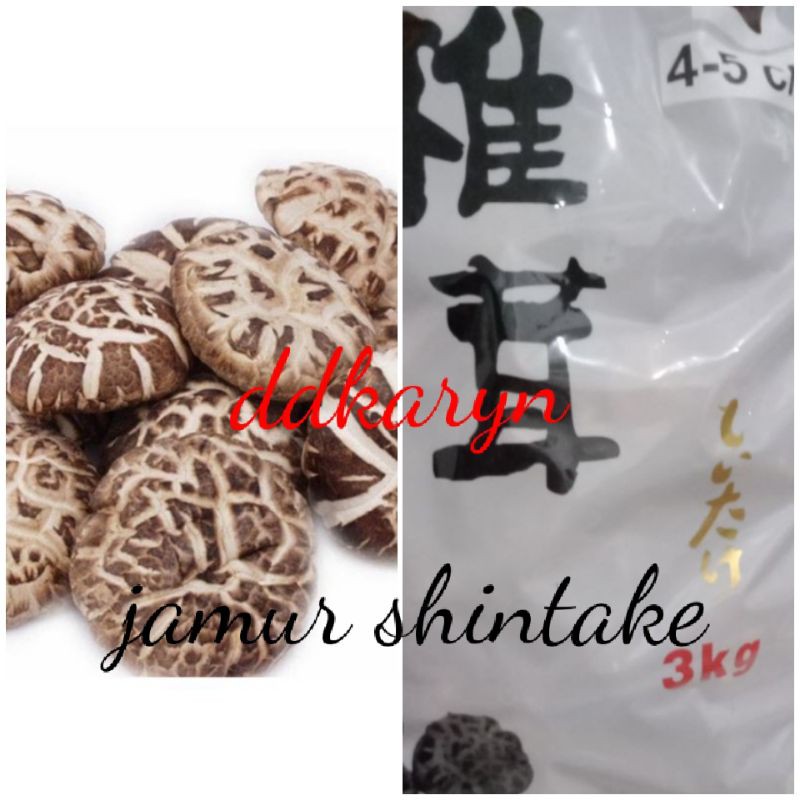 

Jamur hioko/hyoko/shintake 250gr