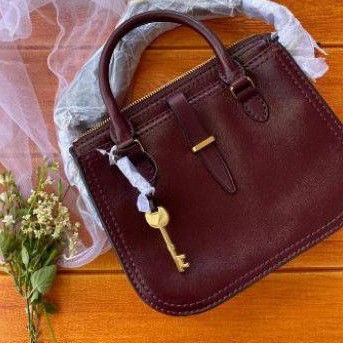 tas fossil ryder fig