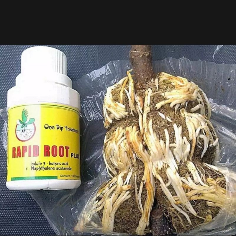 Rapid Root Plus 100gram