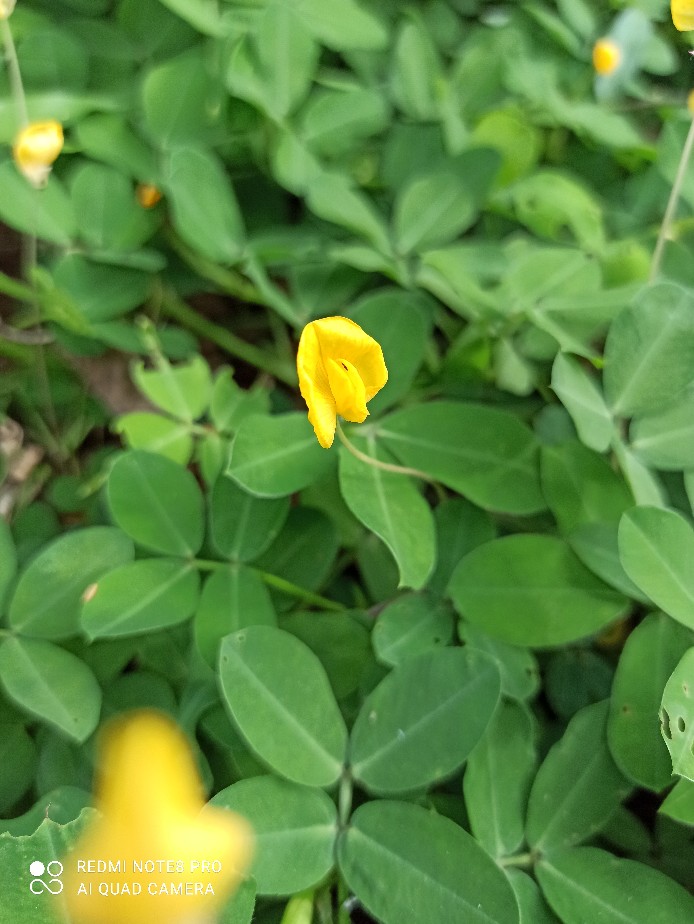 Atasan Batik Wanita Ppbtk07 Modern Batik Cassual Atasanbatik Wanitabatik /atasanwanita/batikstore1