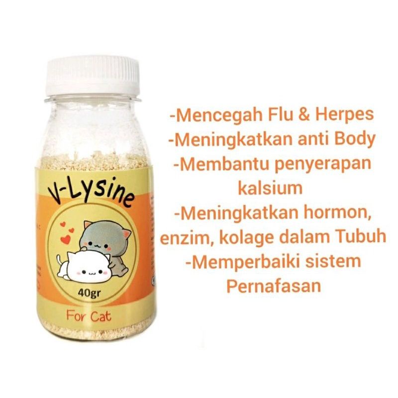 V lysine for cat 40gr vitamin nafsu makan