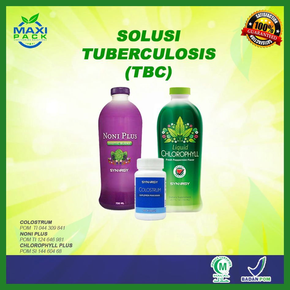 OBAT MENGOBATI TBC/Tb/Tubercolosis Paru Paru MAXI PACK