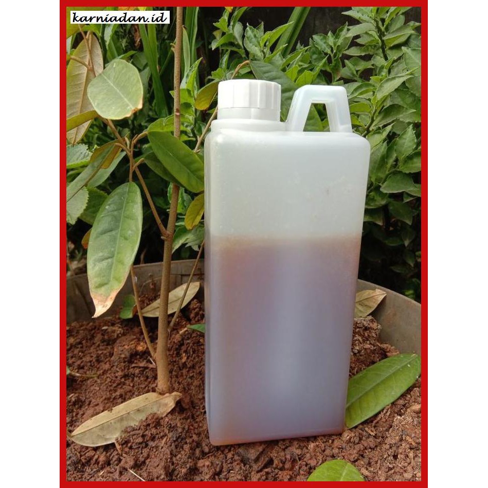 

MADU-MINUMAN- MADU RAMBUTAN/MADU ASLI/ORIGINAL -ASLI-BUKAN-KAWE-KAWE-