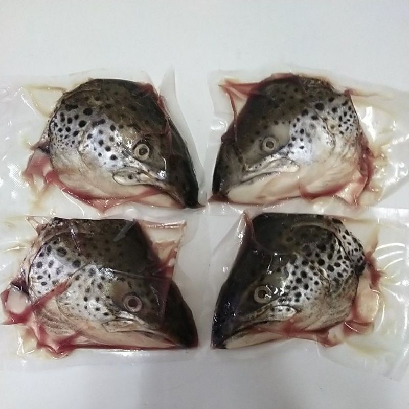 

KEPALA SALMON