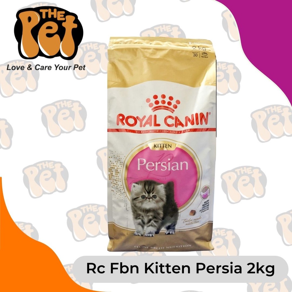 Rc Fbn Kitten Persia 2kg