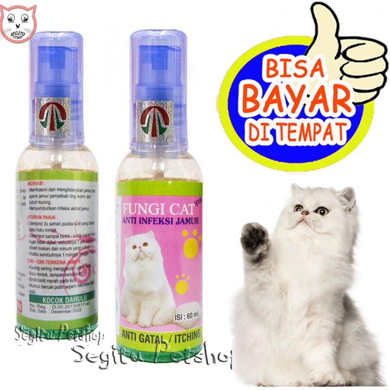 OBAT JAMUR LUKA KORENG SCABIES KUCING FUNGICAT
