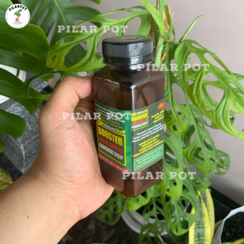 PUPUK BOOSTER AKAR NATURE STEK CANGKOK MEMPERCEPAT PERTUMBUHAN AKAR - BOOSTER AKAR