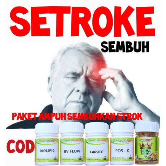

obat stroke strok setrok setruk Herbal Naturindo penyumbatan otak pembuluh darah iscemik strok pecah