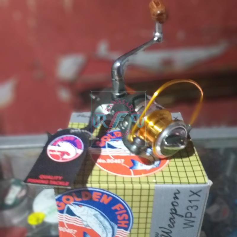 Reel Pancing Golden Fish New Weapon WP31X 9 Plus 1 Ball Bearings