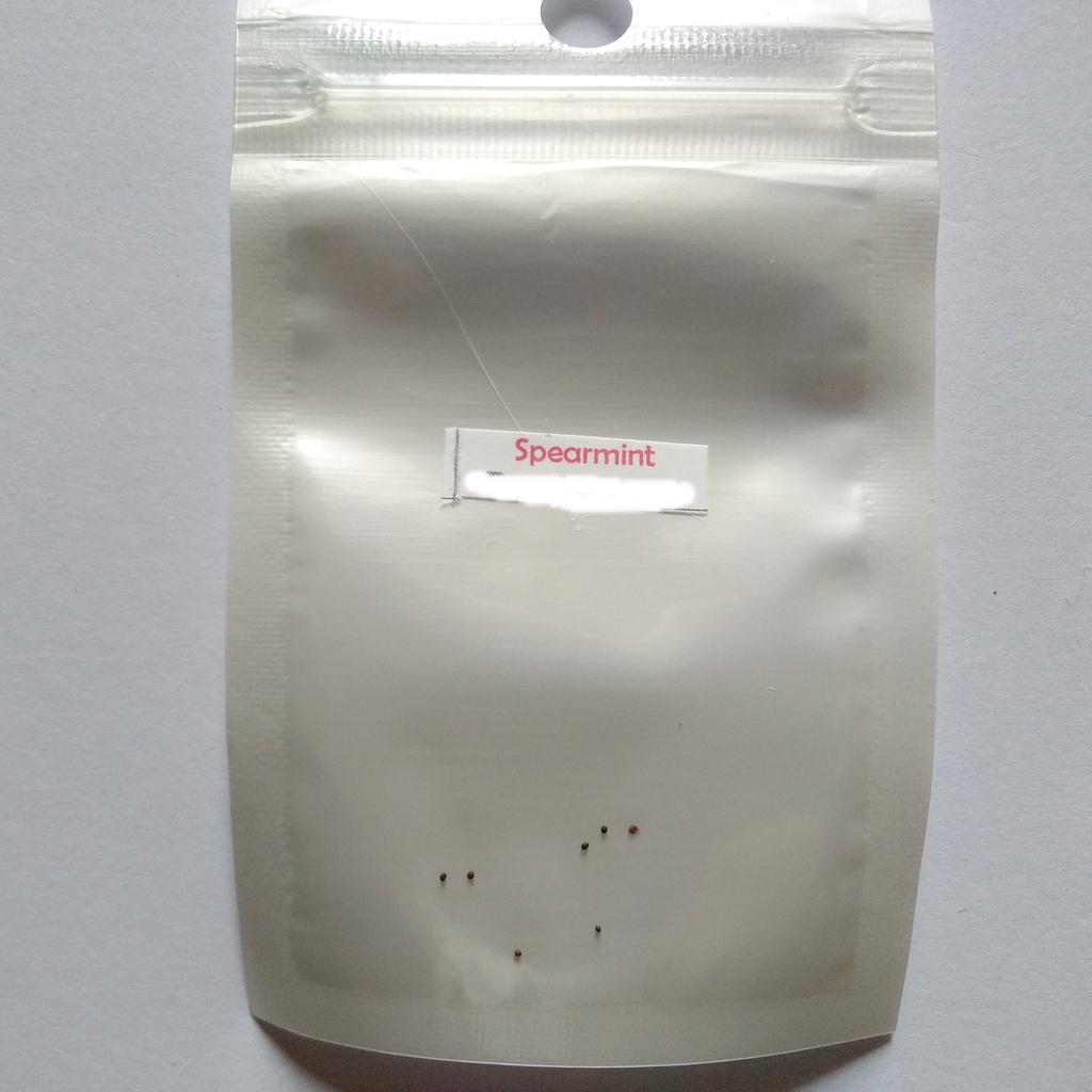 Biji Benih Bibit Tanmaan Herbal Daun Mint Spearmint Repack Haira Seed atau Home Garden Seed Biji Bibit Tanaman Sayur Sayuran Hidroponik dan Konvensional-1
