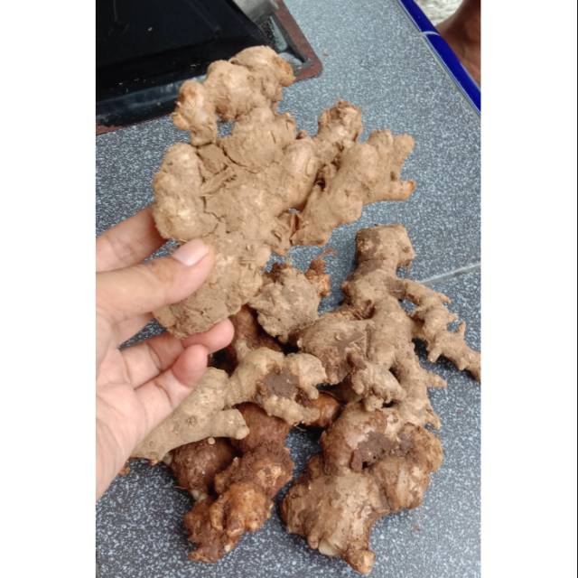 

Jahe emprit harga per 1/4 kg