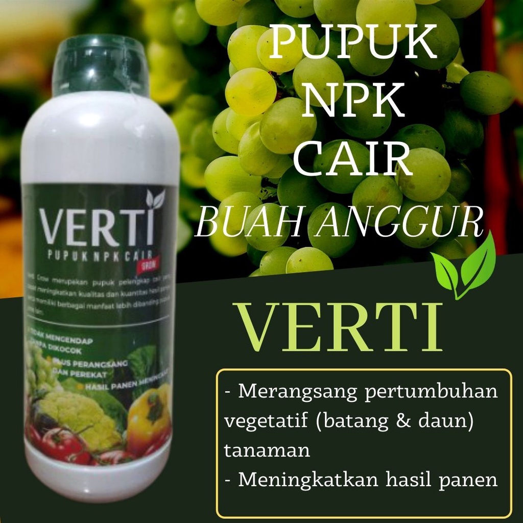 Pupuk Verti Grow NPK Untuk Buah Anggur, Pupuk Lindungi Tanaman Anggur Dari Hama & Penyakit