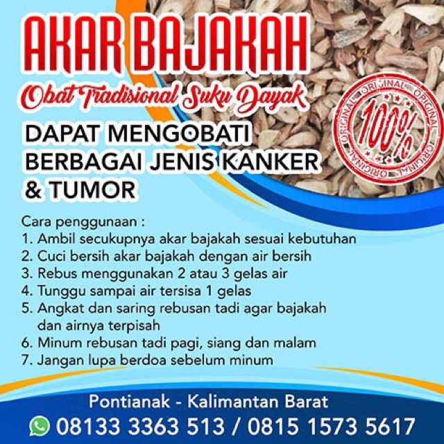 BAJAKAH 500 gram (ASLI, BISA COD) Kayu akar kering siap konsumsi bajakah kalalawit tampala kanker