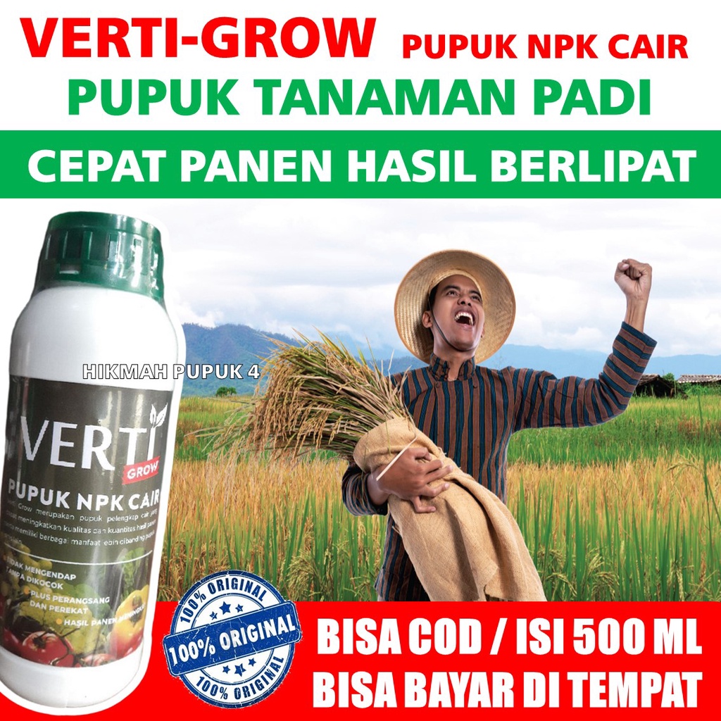 (PUPUK ORGANIK CAIR) MELEBATKAN TANAMAN PADI MURAH VERTI-GROW Padi Menjadi Berbobot Dan Berisi Isi 5