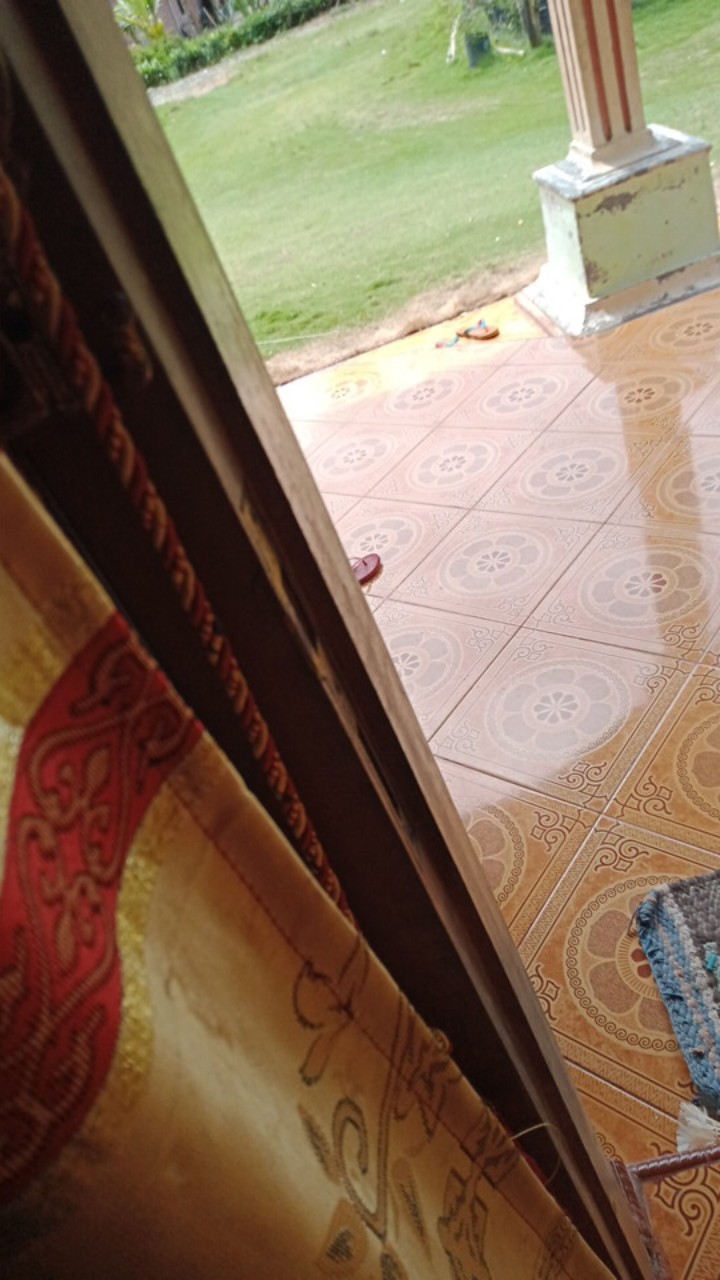 Diskon Bswart Batik Hrb026 Kenongo Hem Pendek Padi Pekalongan M L Xl Batik Pria Murah Modern Grosir