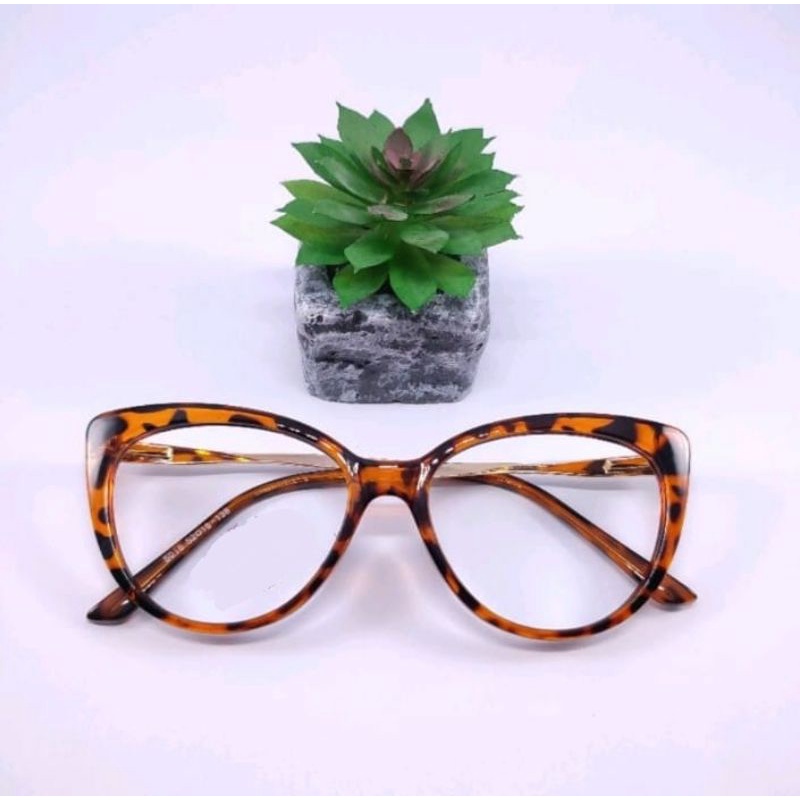 kacamata minus atau normal paket lensa photocromic  frame cat Eye