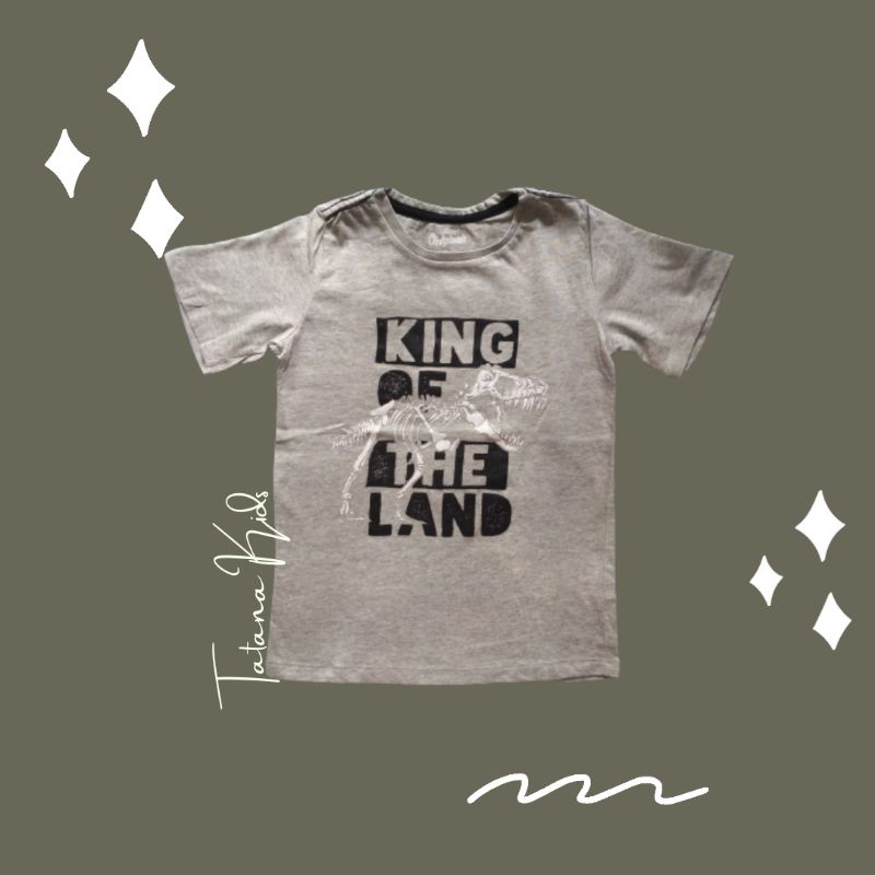 Kaos Anak Laki-Laki/Oshkosh