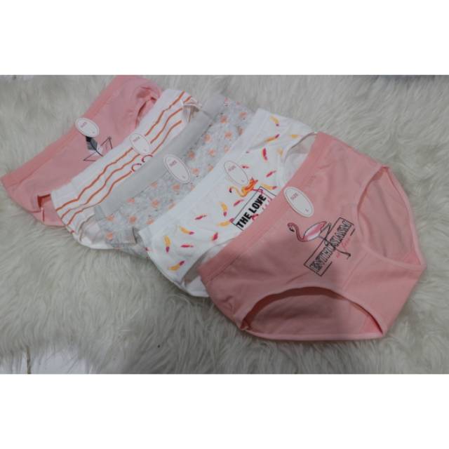 Celana Dalam Wanita CD Mid Waist Motif Flamingo IMPORT (Ready Jakarta)