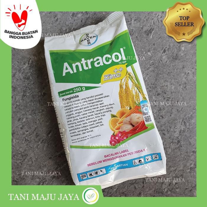 Pupuk Vitamin Tanaman Penyubur Tanaman Fungisida Antracol 70wp Zinc 250 Gram Bisa Cod Shopee Indonesia