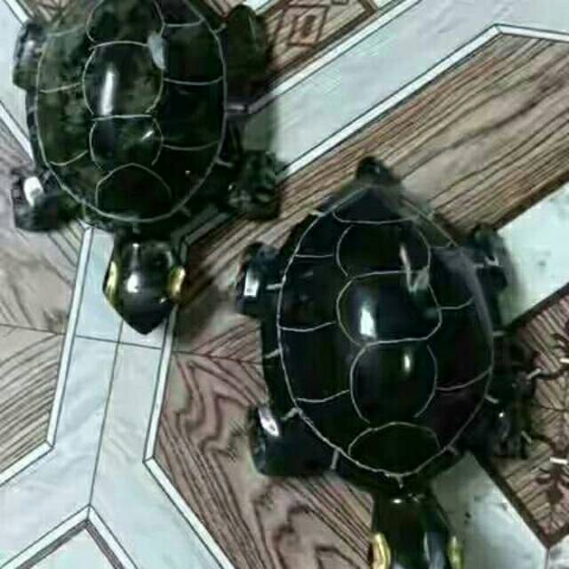 Natural batu ukir kura kura