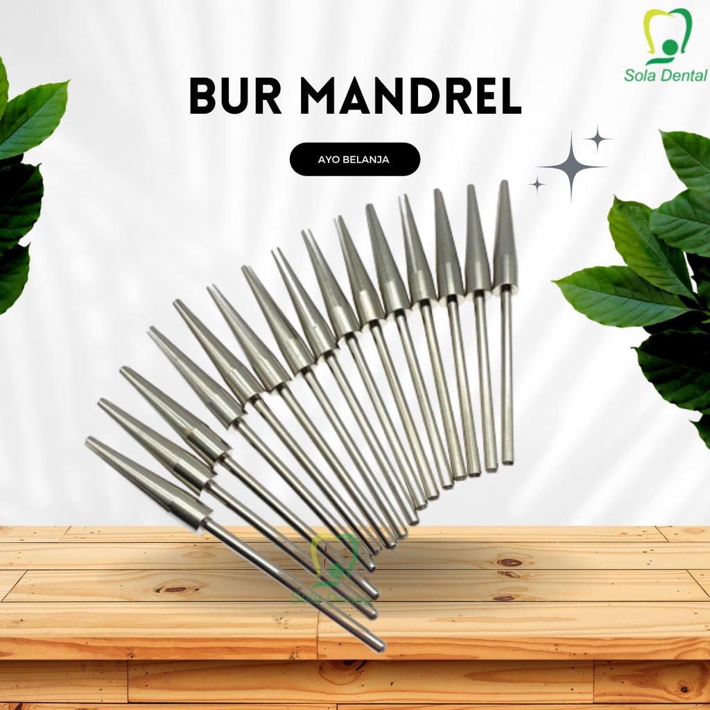 Bur Mandril Penjepit Amplas Gigi Dental Gagang Disc Gerinda Gigi Palsu Dental