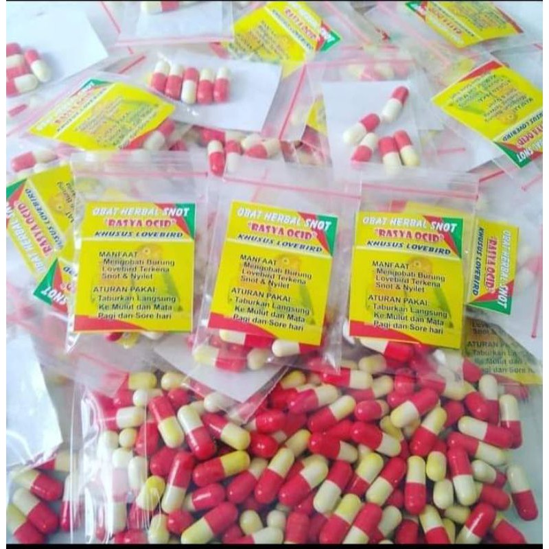 rasya ocid obat snot senot ocit lesu dan nyilet