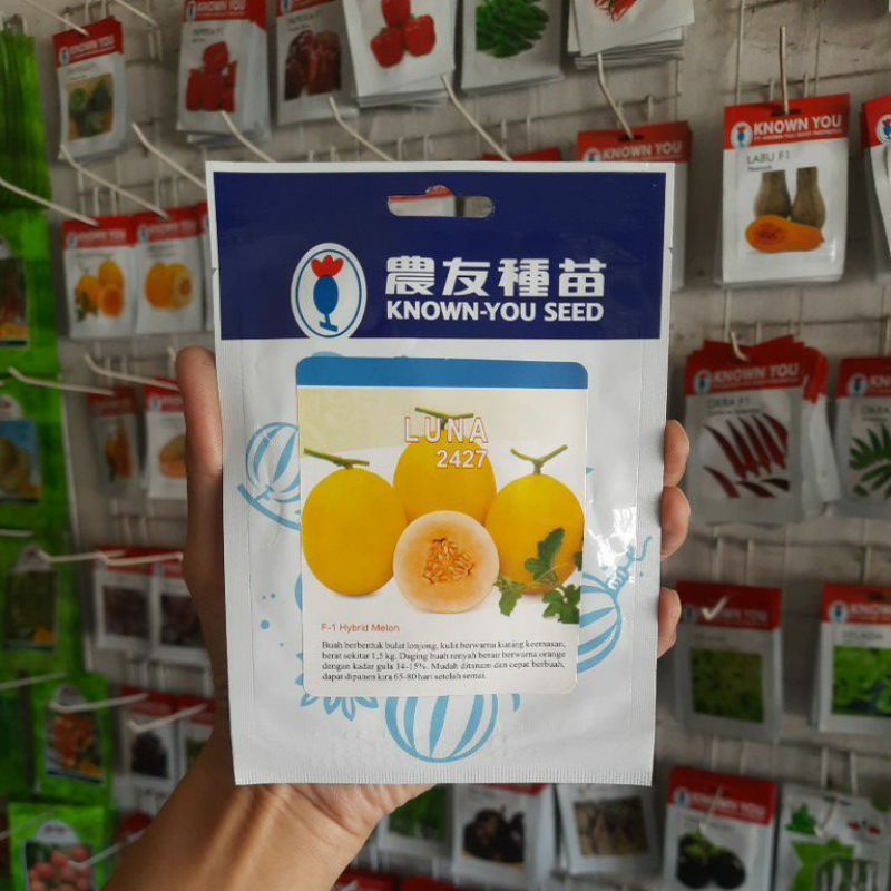 Benih Biji Bibit Melon Golden LUNA F1 Isi 100biji