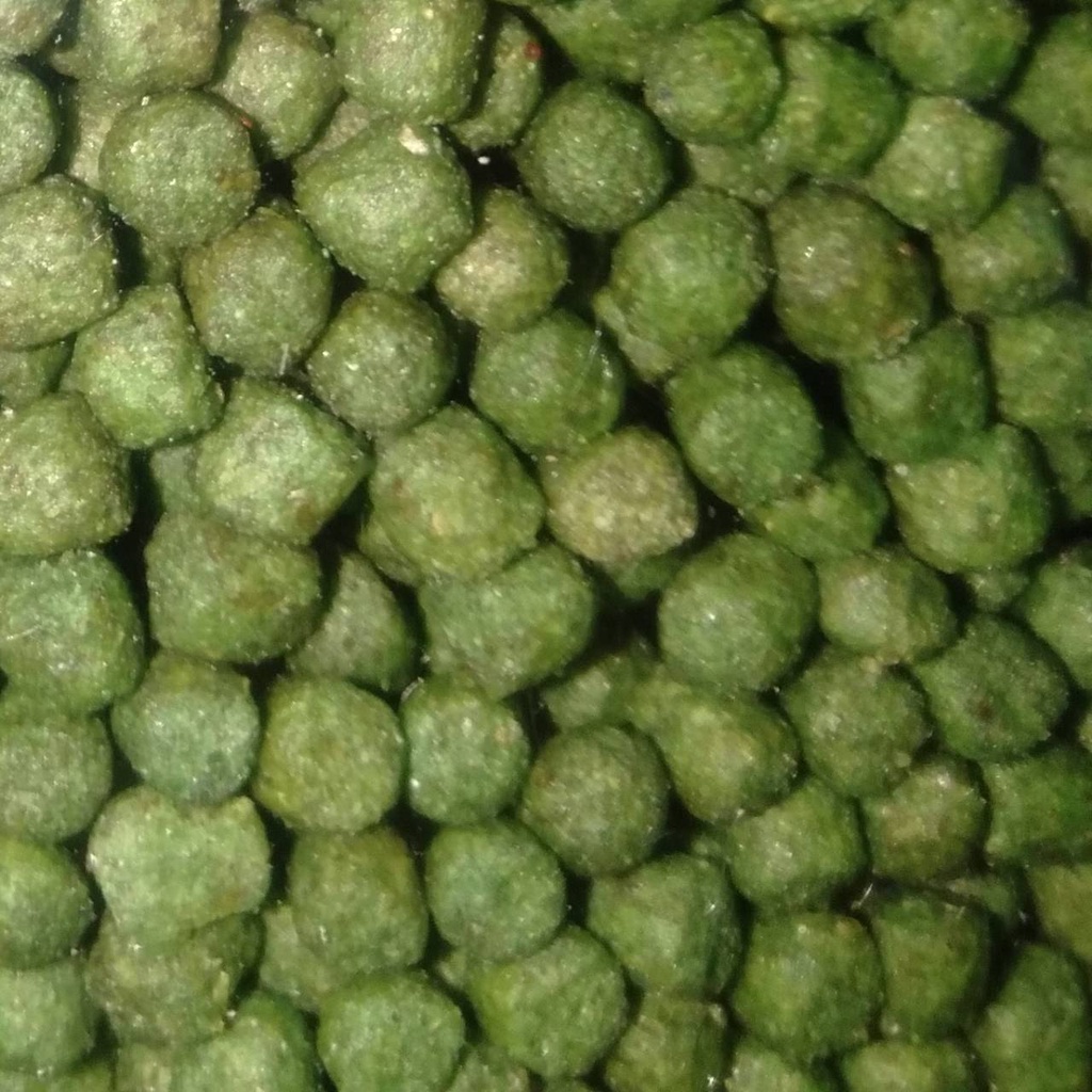 AKARI SPIRULINA 2MM 1250 GR PELET KOI AKARI SUPER