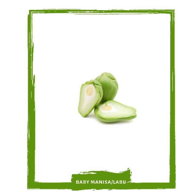 

Baby Manisa / Labu / Sayur Sayuran Segar By Mallahrizwa