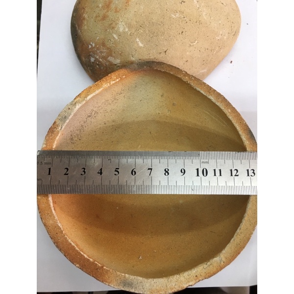 KOWI-Kowi Padang besar ukuran 13cm/leburan emas