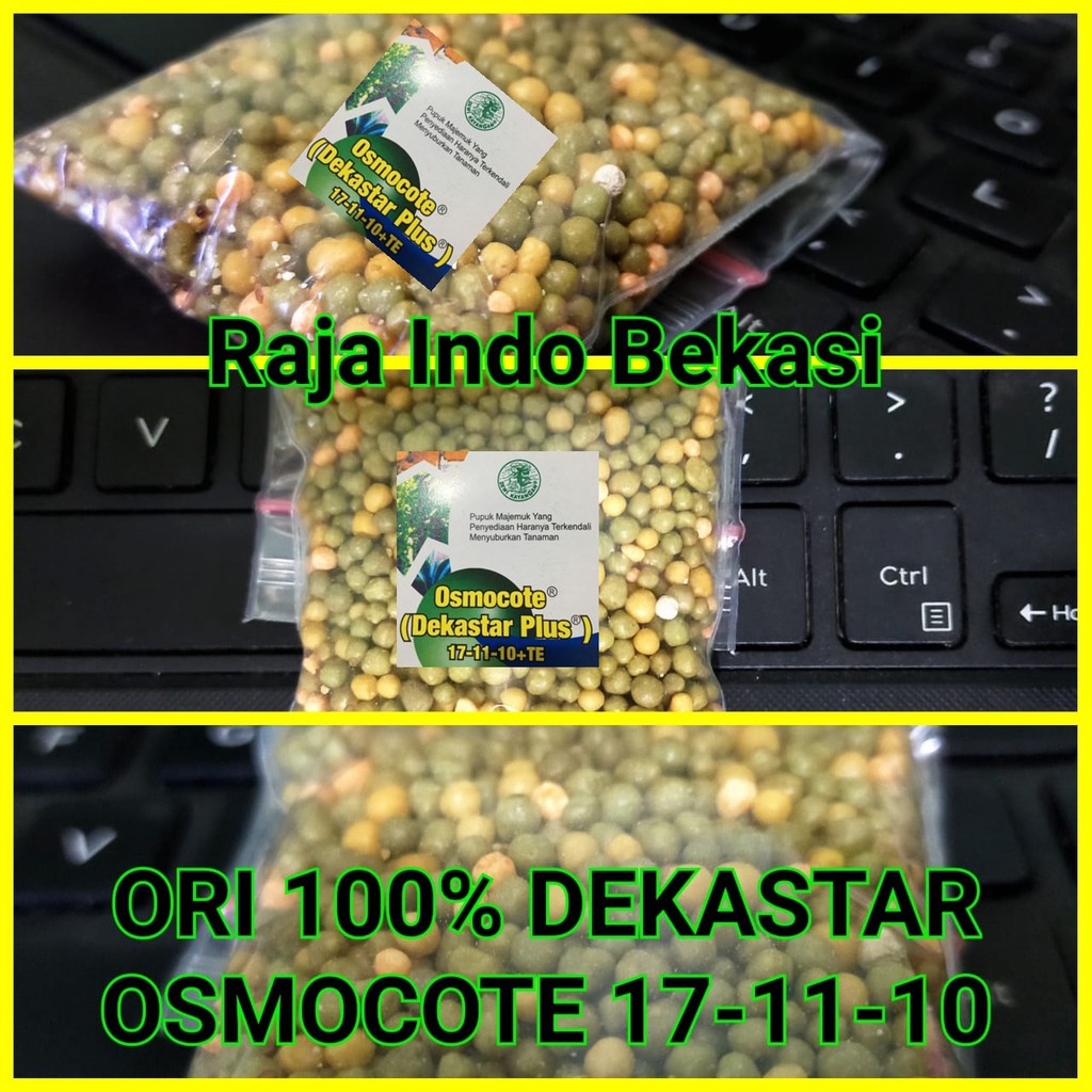 Ori Dekastar 17-11-10 13-13-13 6-13-25 Te 25 Gram Pupuk Osmocote Bonsai Anggrek Dekastar Aglonema