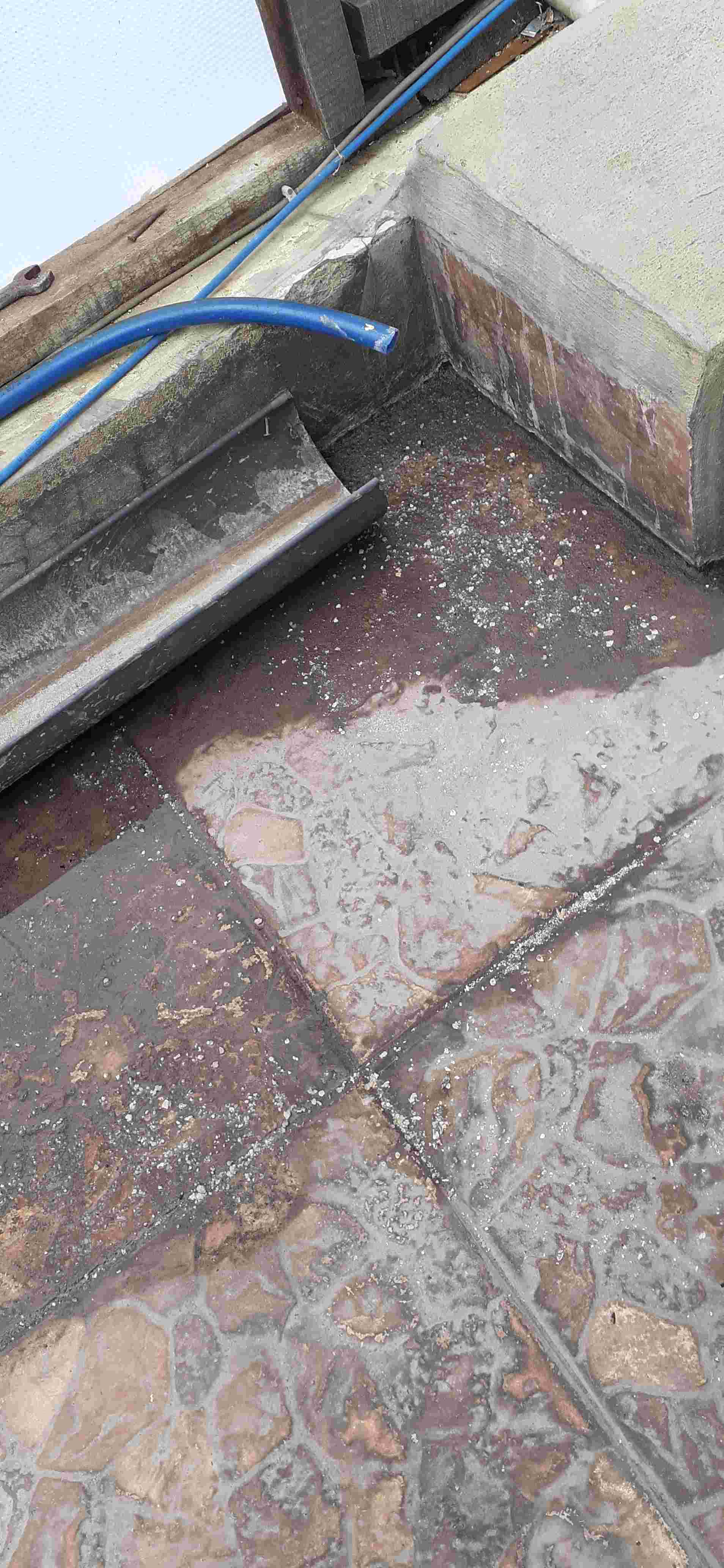 Putto Houzz Washing Machine Cleaner