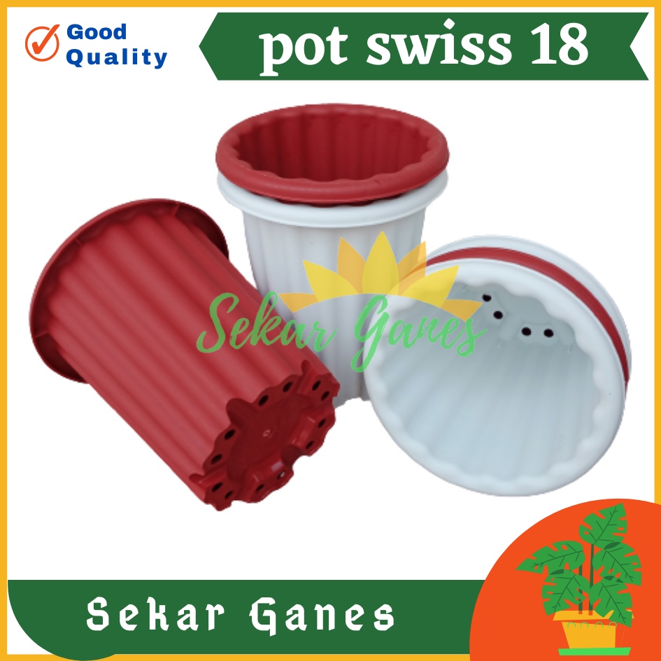 Lusinan 12pcs Pot Swiss 18 Putih Bening Transparan Hitam Merah Bata Merah Coklat Terracota Terracotta Mirip Lusinan Pot Yogap Ypt 18 Putih Coklat Merah Bata Bening Transparan Pot Yogap 17 18 19 Pot Yogap Murah Pot Bunga Tinggi Pirus Tegak Tebal